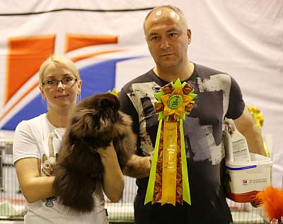 �������� ����� 20-21 �������� 2014 WCF-����� 1-242-169A1434 copy.jpg